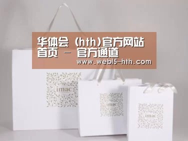 项目名称十一