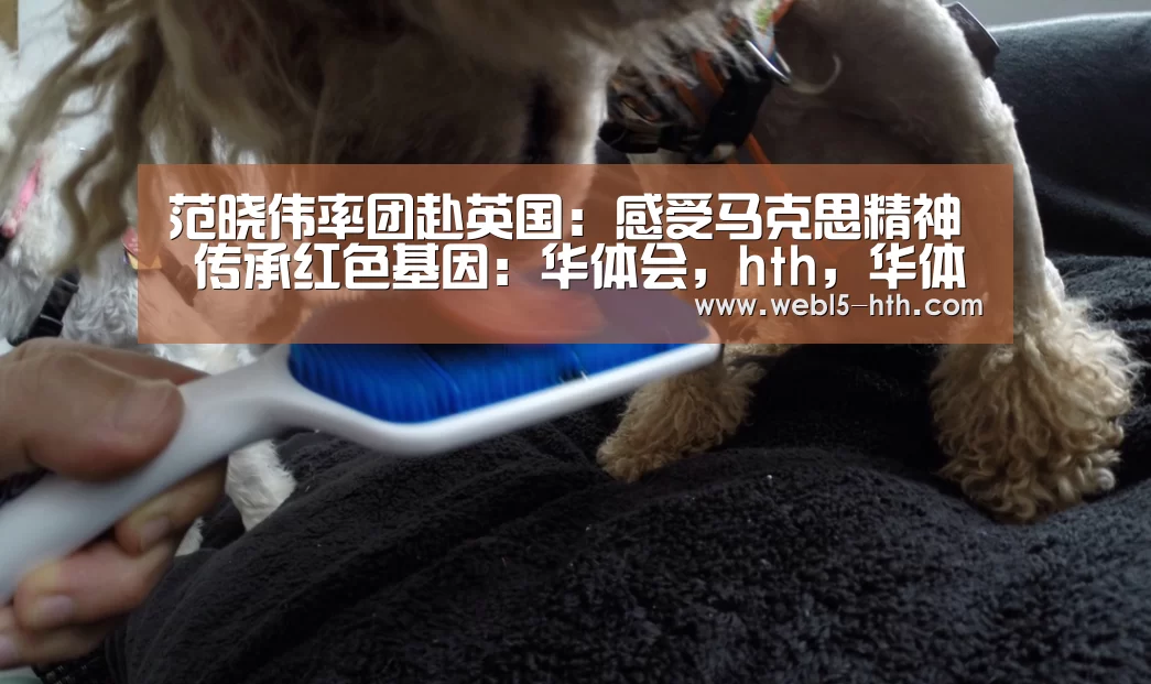 华体会，hth，华体会官网
