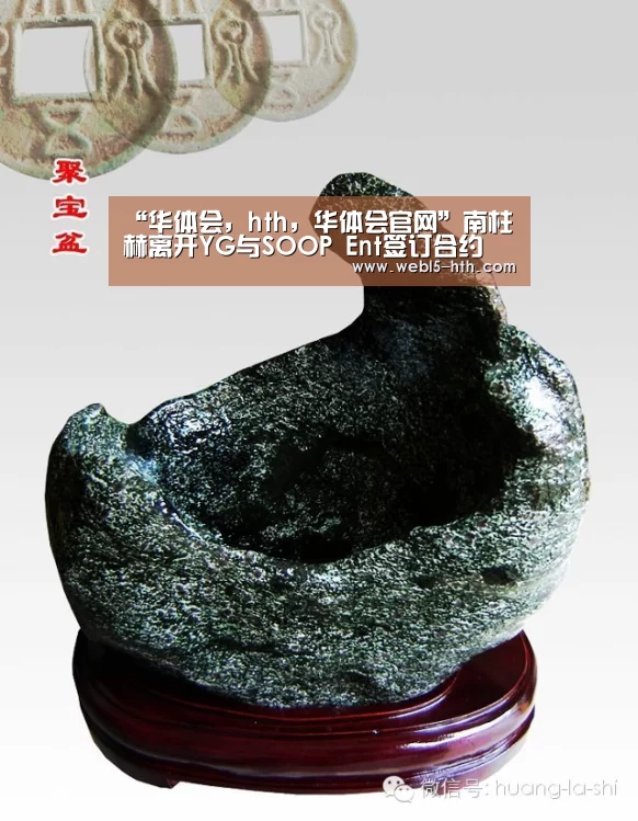 华体会，hth，华体会官网