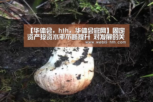 华体会，hth，华体会官网
