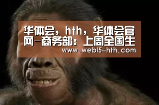 华体会，hth，华体会官网