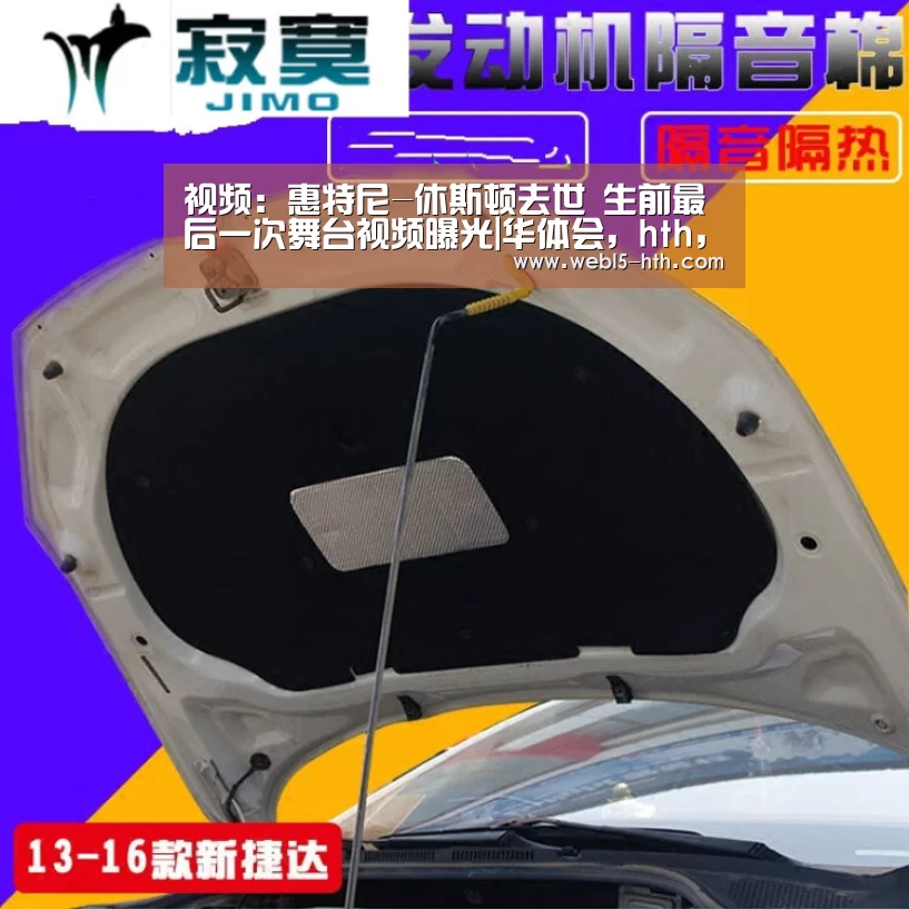 视频:惠特尼-休斯顿去世 生前最后一次舞台视频曝光|华体会,hth,华体会官网(图2) 华体会,hth,华体会官网